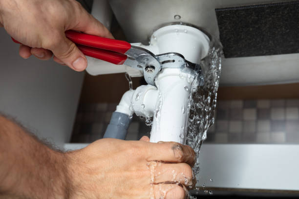 Best Water damage cleanup near me  in Isle Of Hope, GA