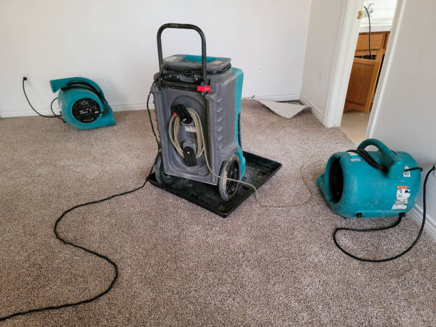Best Water damage restoration near me  in Isle Of Hope, GA
