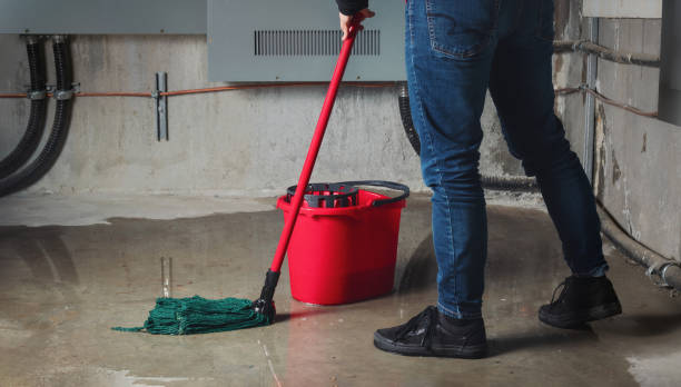 Best Carpet water damage restoration  in Isle Of Hope, GA