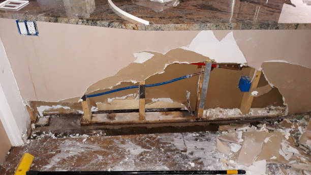 Best Flood damage cleanup  in Isle Of Hope, GA