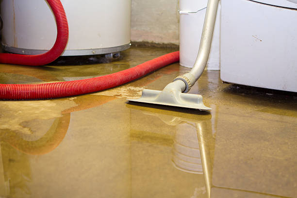 Best Commercial water damage restoration  in Isle Of Hope, GA