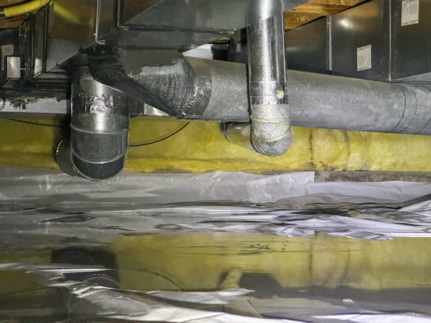 Best Basement water damage restoration  in Isle Of Hope, GA