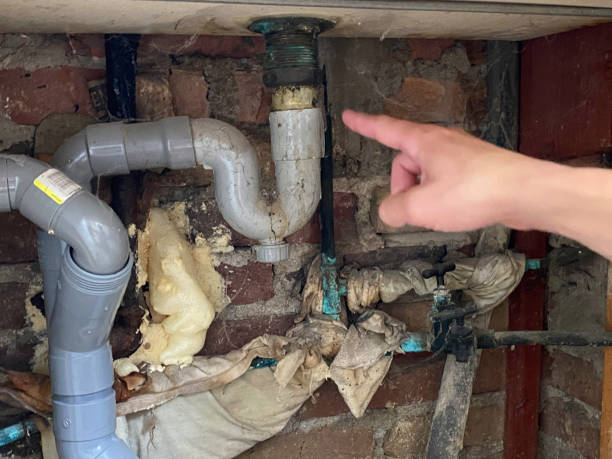 Best Professional water damage repair  in Isle Of Hope, GA