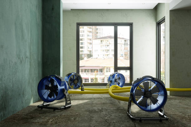 Best Emergency water damage restoration  in Isle Of Hope, GA
